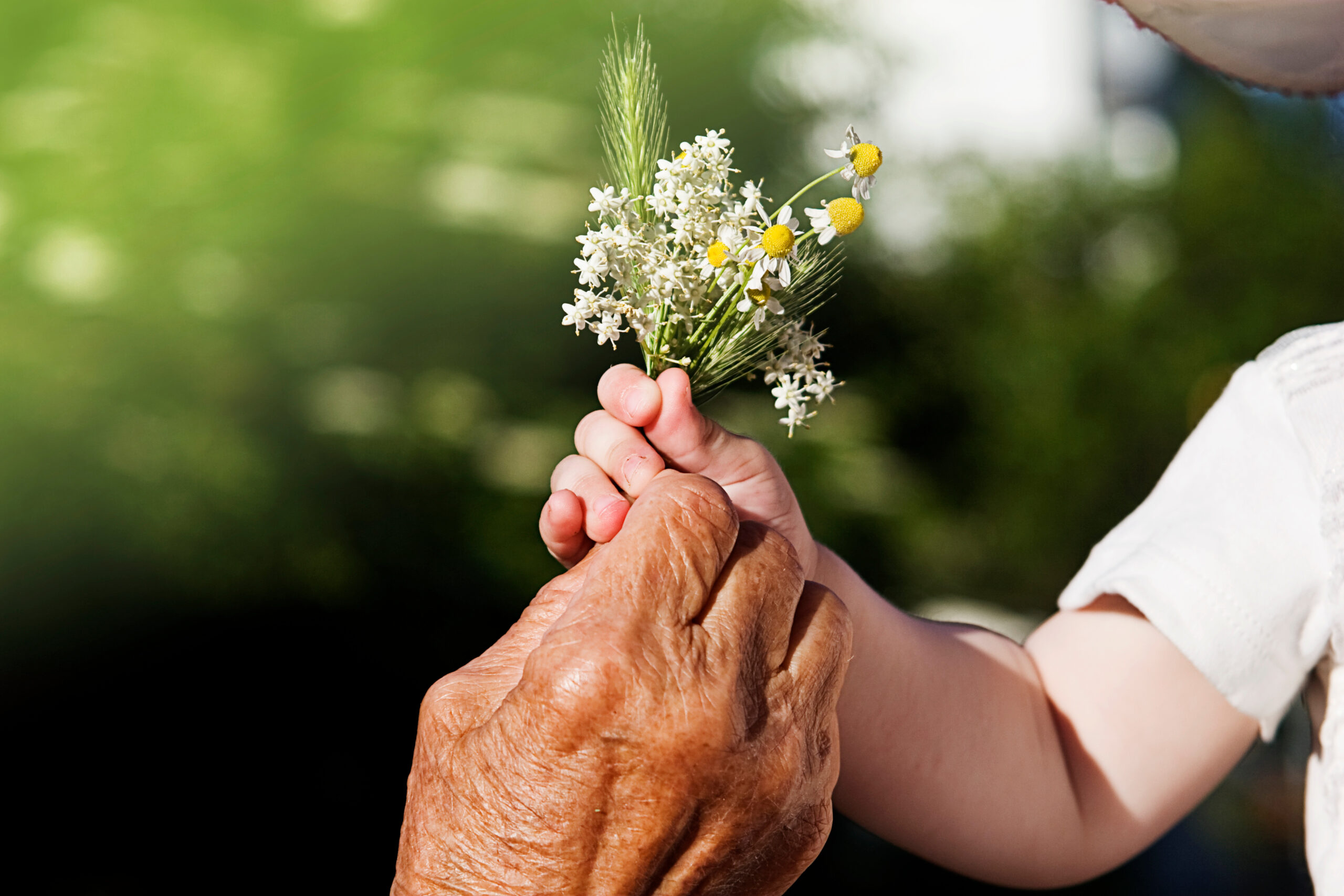 13. September: Tag des Testaments